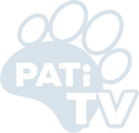 Pati TV